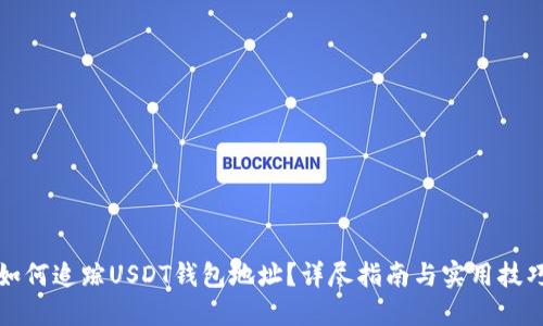 如何追踪USDT钱包地址？详尽指南与实用技巧