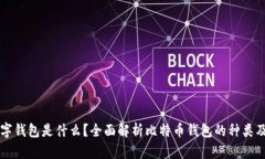 比特币数字钱包是什么？全面解析比特币钱包的
