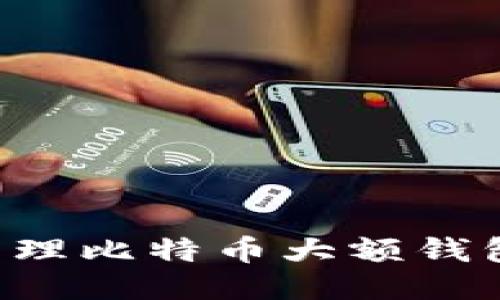 如何安全管理比特币大额钱包：全面指南