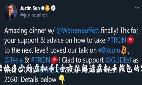 一个钱包能放多少种虚拟币？全方位解读虚拟币钱包的容量与种类