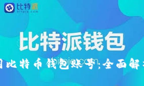 如何安全使用比特币钱包账号：全面解析与实用指南