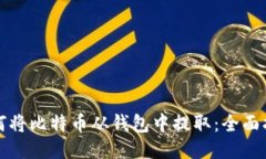 如何将比特币从钱包中提取：全面指南