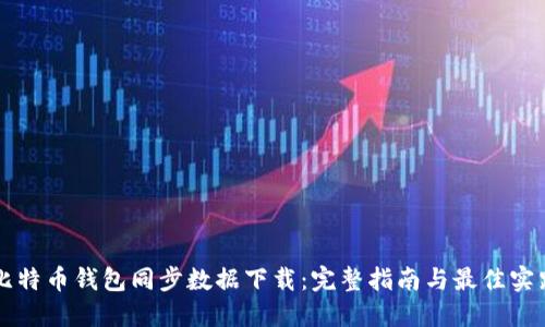 比特币钱包同步数据下载：完整指南与最佳实践