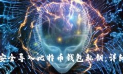 如何安全导入比特币钱包私钥：详细指南