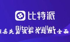 比特币钱包密钥丢失后该如何处理？全面指南与