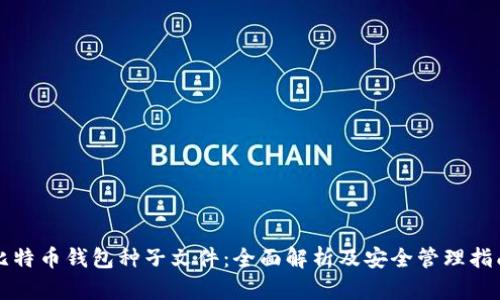 比特币钱包种子文件：全面解析及安全管理指南