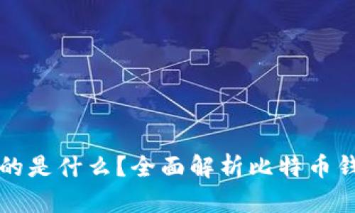 比特币钱包存放的是什么？全面解析比特币钱包的结构与功能