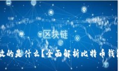 比特币钱包存放的是什么？全面解析比特币钱包