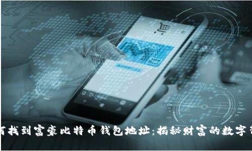 如何找到富豪比特币钱包地址：揭秘财富的数字背影