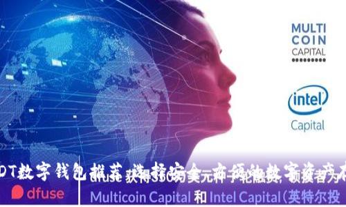 最佳USDT数字钱包推荐：选择安全、方便的数字资产存储方案