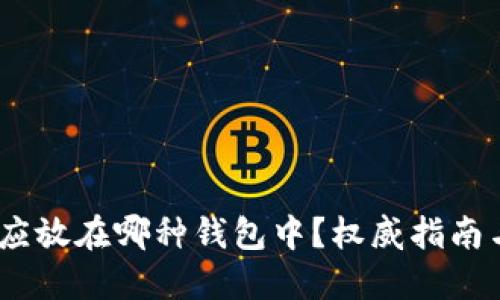 USDT应放在哪种钱包中？权威指南与推荐