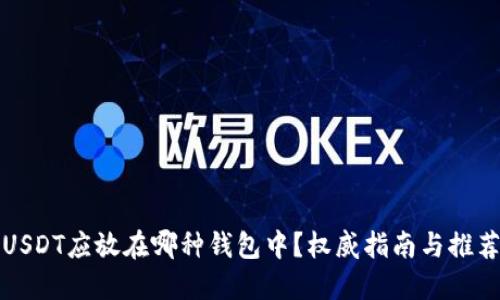 USDT应放在哪种钱包中？权威指南与推荐