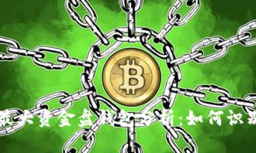 比特币最大资金盘钱包分析：如何识别和使用