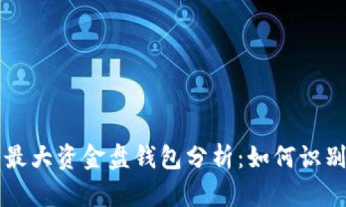 比特币最大资金盘钱包分析：如何识别和使用