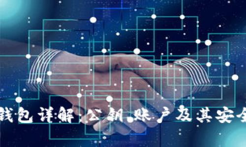 比特币钱包详解:公钥、账户及其安全性分析