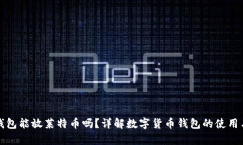比特币钱包能放莱特币吗?详解数字货币钱包的使用与兼容性