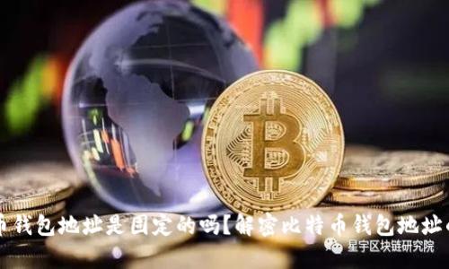比特币钱包地址是固定的吗？解密比特币钱包地址的真相