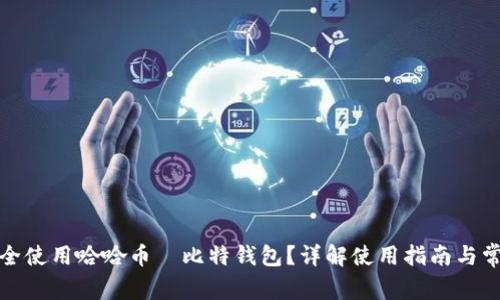 如何安全使用哈哈币犇比特钱包?详解使用指南与常见问题