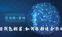 比特币轻钱包推荐：如何选择适合你的轻钱包