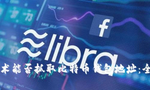 爬虫技术能否抓取比特币钱包地址：全面解析