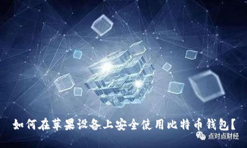 如何在苹果设备上安全使用比特币钱包？