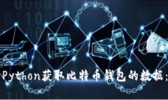 如何使用Python获取比特币钱包的数据：完整指南