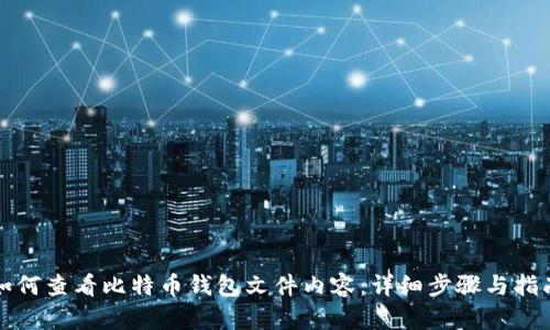 如何查看比特币钱包文件内容：详细步骤与指南