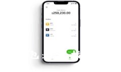 选择合适的比特币钱包：全面指南与用户常见问