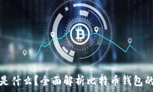   
比特币钱包是什么？全面解析比特币钱包的类型与功能