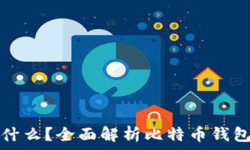   
比特币钱包是什么？全面解析比特币钱包的类型与功能
