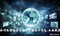 如何选择适合自己的区块链小钱包：全面指南