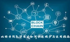 比特币钱包下载后如何快速同步与使用指南