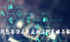 比特币钱包备份丢失后的应对策略与解决方案
