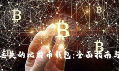 如何找回丢失的比特币钱包：全面指南与实用技