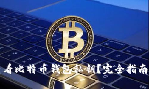 如何安全查看比特币钱包私钥？完全指南与最佳实践