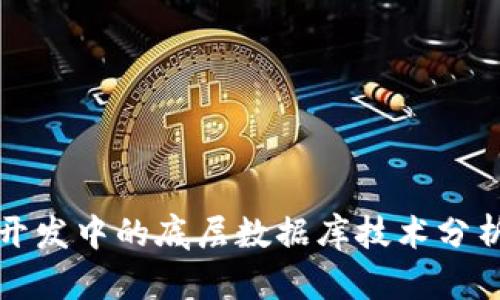区块链钱包开发中的底层数据库技术分析与实现策略