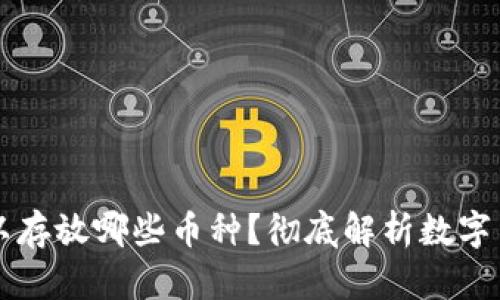 比特币钱包可以存放哪些币种？彻底解析数字货币的存储方式