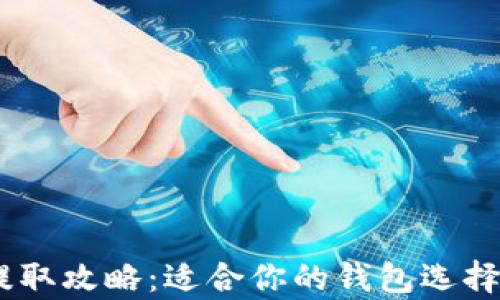 
USDT提取攻略：适合你的钱包选择全解析
