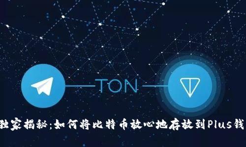 专家独家揭秘：如何将比特币放心地存放到Plus钱包里？