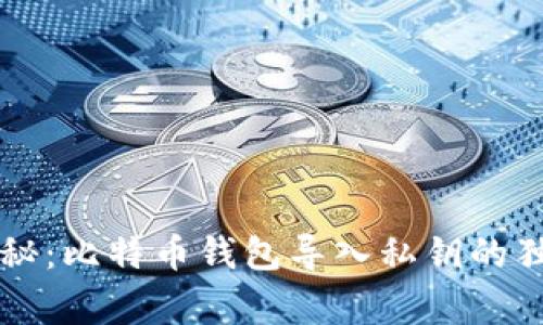 专家揭秘：比特币钱包导入私钥的独家秘诀