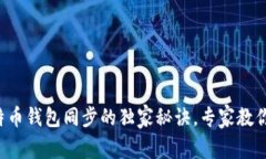 揭秘新比特币钱包同步的独家秘诀，专家教你轻