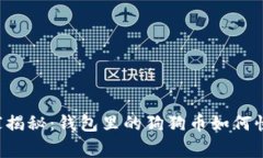 专家独家揭秘：钱包里的狗狗币如何快速提现？