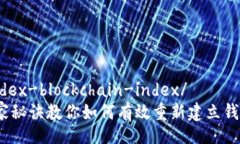 wallet-reindex-blockchain-index/ 专家揭秘:独家秘诀教