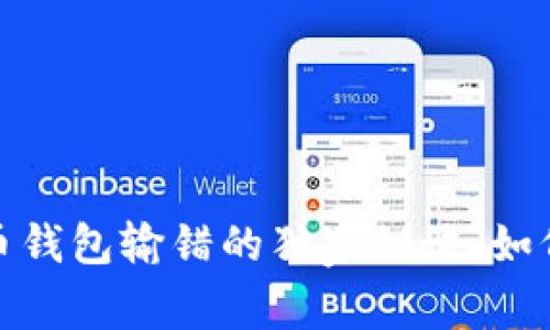 专家揭秘：比特币钱包输错的独家秘诀，如何避免资金损失？