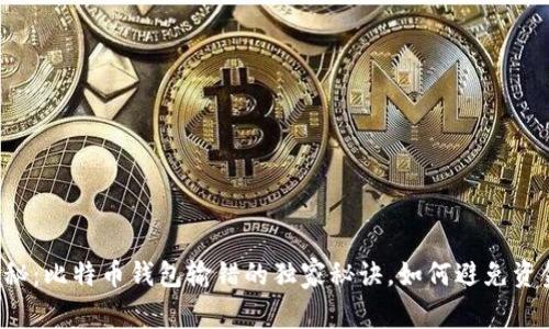 专家揭秘：比特币钱包输错的独家秘诀，如何避免资金损失？