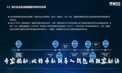 专家揭秘:比特币私钥导入钱包的独家秘诀