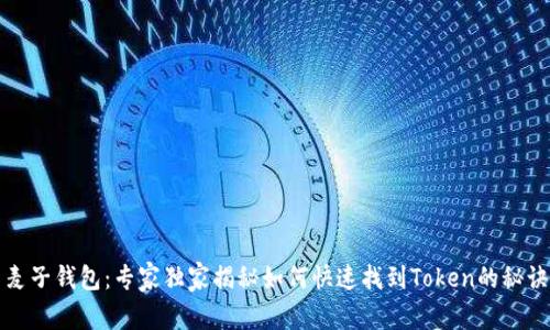 麦子钱包：专家独家揭秘如何快速找到Token的秘诀