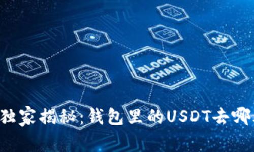 专家独家揭秘：钱包里的USDT去哪儿了？