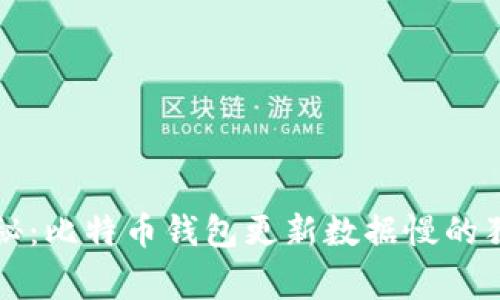 专家揭秘：比特币钱包更新数据慢的独家秘诀