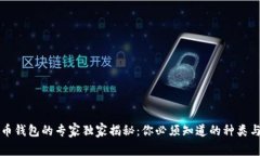 比特币钱包的专家独家揭秘：你必须知道的种类